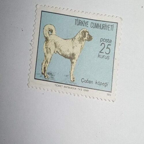 MNH - TURKLYE CUMHURIYE 25 POSTAGE STAMP MNH - TURKLYE CUMHURIYE 25 POSTAGE STAMP