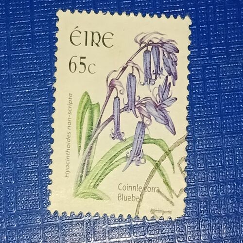 USED - IRELAND , BLUEBELL 65C POSTAGE STAMP USED - IRELAND , BLUEBELL 65C POSTAGE STAMP