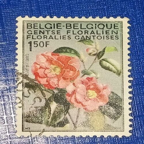 USED - 1970 BELGIAN POSTAGE STAMP , 150F USED - 1970 BELGIAN POSTAGE STAMP , 150F