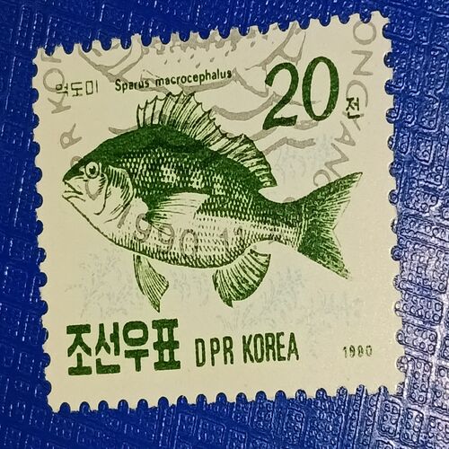 USED - DPR KOREA POSTAGE STAMP USED - DPR KOREA POSTAGE STAMP