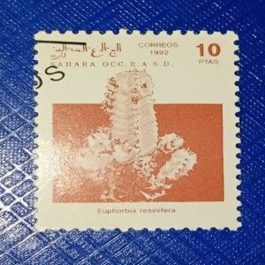 USED - SAHARA OCC R.A.S.D. 10Ptas POSTAGE STAMP USED - SAHARA OCC R.A.S.D. 10Ptas POSTAGE STAMP