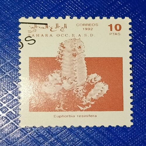 USED - SAHARA OCC R.A.S.D. 10Ptas POSTAGE STAMP USED - SAHARA OCC R.A.S.D. 10Ptas POSTAGE STAMP