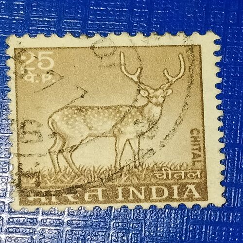 USED - INDIA POSTAGE STAMP 25P USED - INDIA POSTAGE STAMP 25P