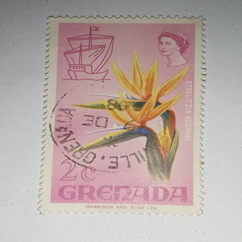 USED - STRELITZIA REGINAE 2C POSTAGE STAMP USED - STRELITZIA REGINAE 2C POSTAGE STAMP
