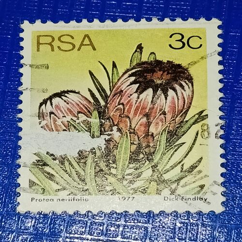 USED - RSA 3C POSTAGE STAMP USED - RSA 3C POSTAGE STAMP