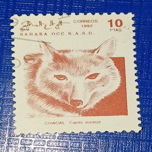USED - SAHARA OCC R.A.S.D. 10Ptas POSTAGE STAMP