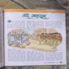 Document 2_6 Bal Bharti ( September 2017 )