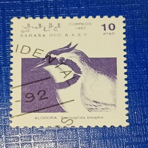 USED - SAHARA OCC R.A.S.D. 10Ptas POSTAGE STAMP USED - SAHARA OCC R.A.S.D. 10Ptas POSTAGE STAMP