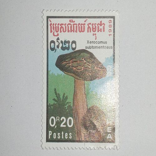Antique PHILATELY buy PHILATELY online,buy online antique PHILATELY,buy online antique PHILATELY from the Past cart,buy online PHILATELY,buy online PHILATELY from the Past cart,PHILATELY,PHILATELY for sale,PHILATELY online buy,PHILATELY online purchase From Past cart. Antique PHILATELY buy PHILATELY online,buy online antique PHILATELY,buy online antique PHILATELY from the Past cart,buy online PHILATELY,buy online PHILATELY from the Past cart,PHILATELY,PHILATELY for sale,PHILATELY online buy,PHILATELY online purchase From Past cart.
