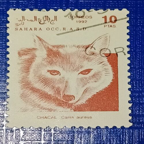 USED - SAHARA OCC R.A.S.D. 10Ptas POSTAGE STAMP