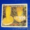 USED - GUYANA POSTAGE STAMP USED - GUYANA $2 POSTAGE STAMP