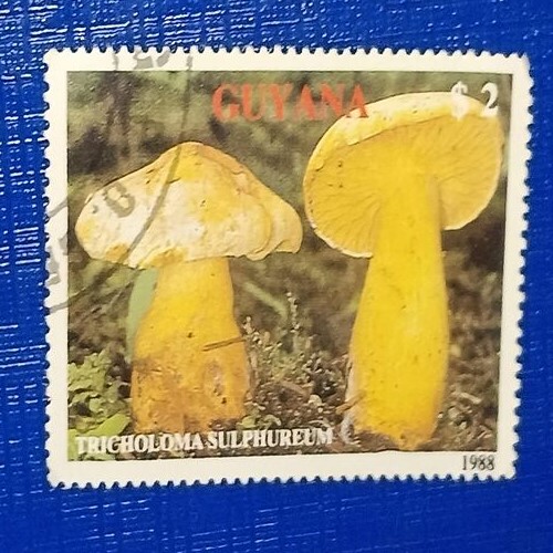 USED - GUYANA POSTAGE STAMP USED - GUYANA $2 POSTAGE STAMP