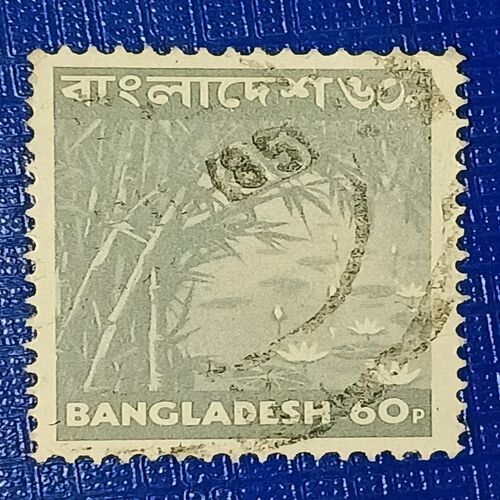 USED - BANGLADESH 60P POSTAGE STAMP