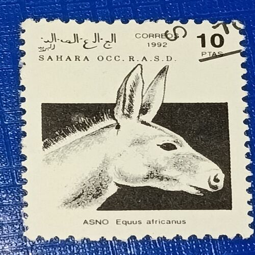 USED - SAHARA OCC R.A.S.D. 10Ptas POSTAGE STAMP USED - SAHARA OCC R.A.S.D. 10Ptas POSTAGE STAMP
