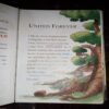The Volcano Of Fire ( Geronimo Stilton )( Rs. 550 ) The Volcano Of Fire ( Geronimo Stilton )( Rs. 550 )