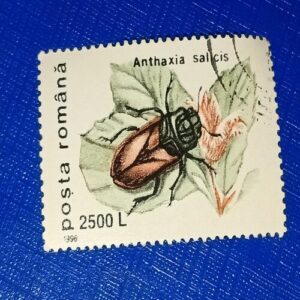 USED - POSTA ROMANA 2500L USED - POSTA ROMANA 2500L