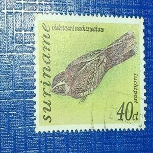 USED - SURINAME 40ct POSTAGE STAMP USED - SURINAME 40ct POSTAGE STAMP