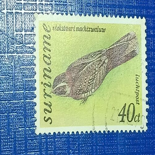 USED - SURINAME 40ct POSTAGE STAMP USED - SURINAME 40ct POSTAGE STAMP