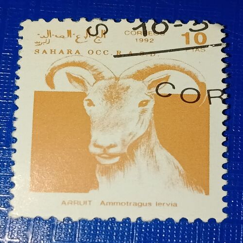 USED - SAHARA OCC R.A.S.D. 10Ptas POSTAGE STAMP USED - SAHARA OCC R.A.S.D. 10Ptas POSTAGE STAMP