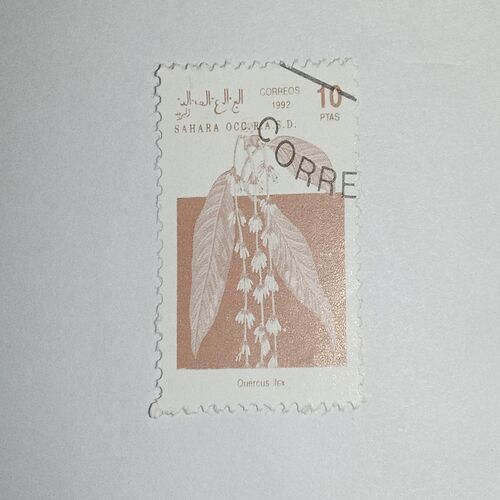 MNH - SAHARA OCC R.A.S.D. 10Ptas POSTAGE STAMP MNH - SAHARA OCC R.A.S.D. 10Ptas POSTAGE STAMP