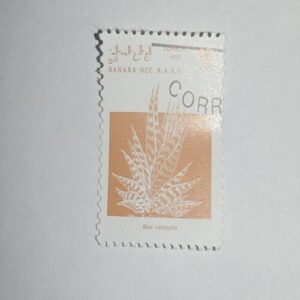 MNH - SAHARA OCC R.A.S.D. 10Ptas POSTAGE STAMP 1992 MNH - SAHARA OCC R.A.S.D. 10Ptas POSTAGE STAMP 1992
