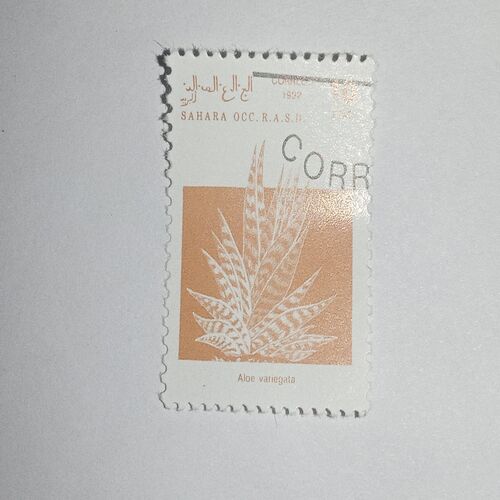 MNH - SAHARA OCC R.A.S.D. 10Ptas POSTAGE STAMP 1992 MNH - SAHARA OCC R.A.S.D. 10Ptas POSTAGE STAMP 1992
