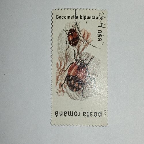MNH - POSTA ROMANA 650L POSTAGE STAMP MNH - POSTA ROMANA 650L POSTAGE STAMP