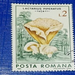 USED - POSTA ROMANA 2L USED - POSTA ROMANA 2L