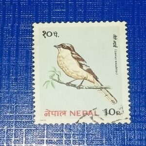 USED - NEPAL 10P POSTAGE STAMP USED - NEPAL 10P POSTAGE STAMP