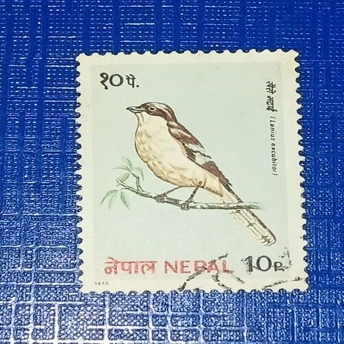 USED - NEPAL 10P POSTAGE STAMP USED - NEPAL 10P POSTAGE STAMP