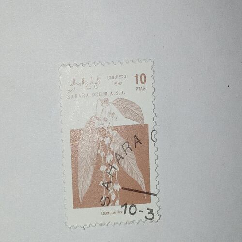 MNH - SAHARA OCC R.A.S.D. 10Ptas POSTAGE STAMP MNH - SAHARA OCC R.A.S.D. 10Ptas POSTAGE STAMP