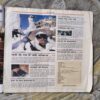 Document 4_84 India Today ( February 2000)