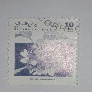 MNH - SAHARA OCC R.A.S.D. 10Ptas POSTAGE STAMP MNH - SAHARA OCC R.A.S.D. 10Ptas POSTAGE STAMP