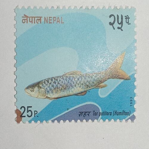 MNH - NEPAL 25P. POSTAGE STAMP MNH - NEPAL 25P. POSTAGE STAMP