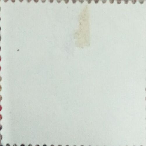 USED- ALGERIA 0.25 16 POSTAGE STAMP. USED- ALGERIA 0.25 16 POSTAGE STAMP.