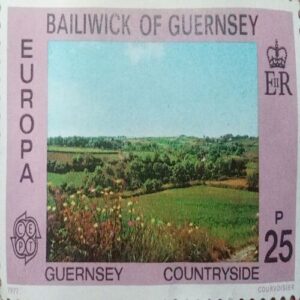 USED-BAILIWICK OF GUERNSEY 25P COUNTRYSIDE POSTAGE STAMP. USED-BAILIWICK OF GUERNSEY 25P COUNTRYSIDE POSTAGE STAMP.