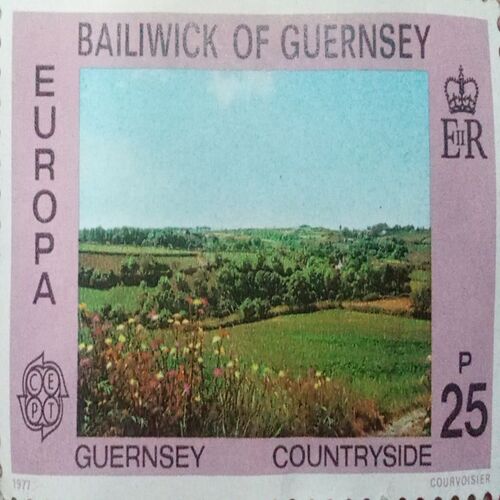 USED-BAILIWICK OF GUERNSEY 25P COUNTRYSIDE POSTAGE STAMP. USED-BAILIWICK OF GUERNSEY 25P COUNTRYSIDE POSTAGE STAMP.