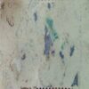 USED-BAILIWICK OF GUERNSEY 25P COUNTRYSIDE POSTAGE STAMP. USED-BAILIWICK OF GUERNSEY 25P COUNTRYSIDE POSTAGE STAMP.