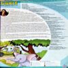 Document 86_44 Tinkle (april 2019)