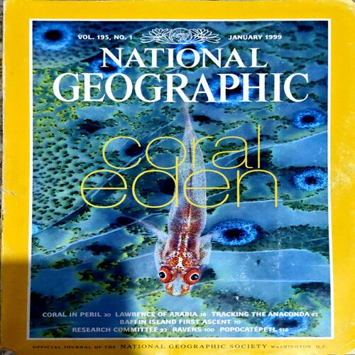 Document 86_49 National Geographic (jan 1999)