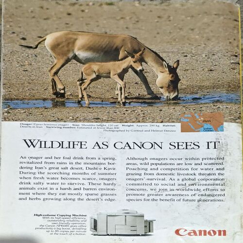 National Geographic (April 1998)
