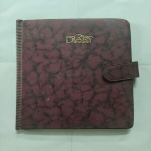 Document_10 Diary 2000