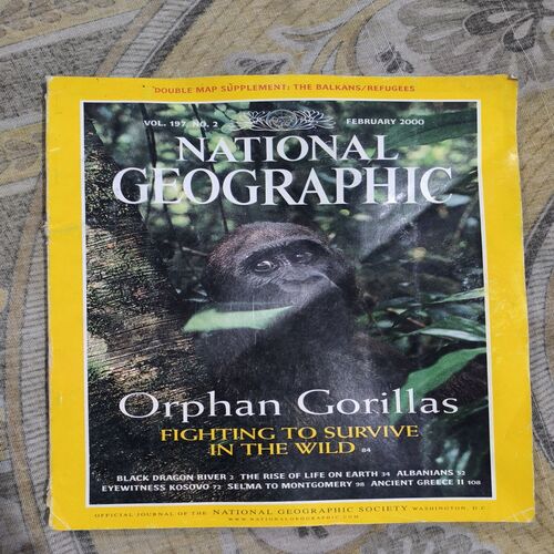 Document_100 National Geographic ( February 2000 )