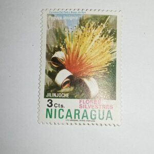 MNH - NICARAGUA 3Cts. POSTAGE STAMP MNH - NICARAGUA 3Cts. POSTAGE STAMP