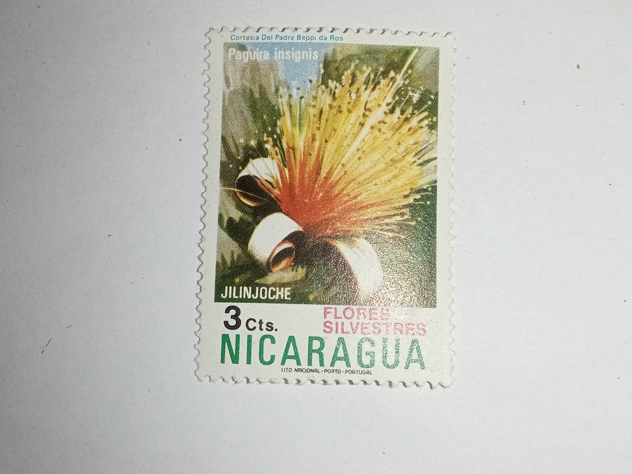 MNH - NICARAGUA 3Cts. POSTAGE STAMP MNH - NICARAGUA 3Cts. POSTAGE STAMP