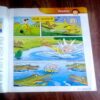Document_31 Nandan ( May 2018 )