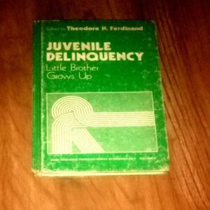Document_41 Juvenile Delinquency Little Brother Up ( Theodore N. Ferdinad )