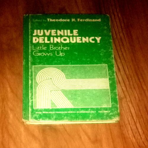 Document_41 Juvenile Delinquency Little Brother Up ( Theodore N. Ferdinad )