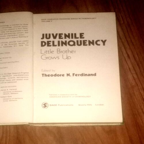 Document_42 Juvenile Delinquency Little Brother Up ( Theodore N. Ferdinad )