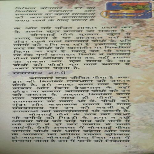 Document_72 Sarita ( 1st August 2004 )